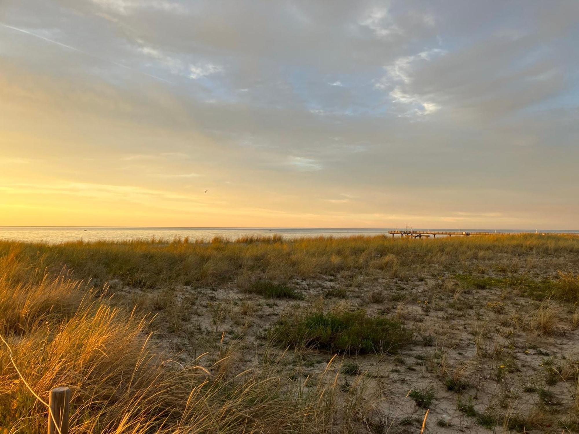 Strandgruen Rerik Exteriér fotografie